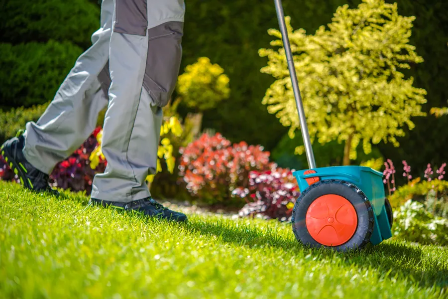 Lawn Care