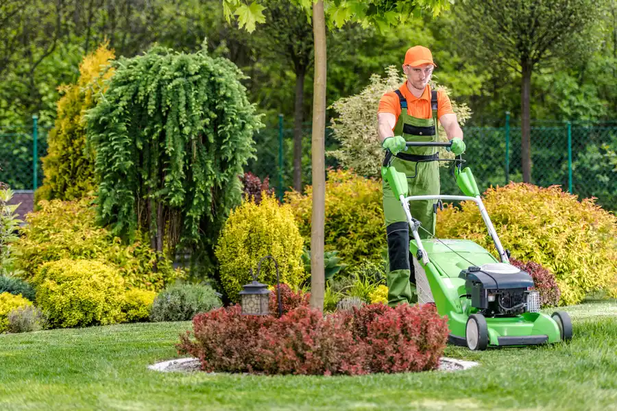Lawn Maintenance